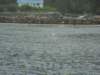 dscn1290_small.jpg