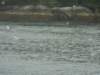 dscn1291_small.jpg