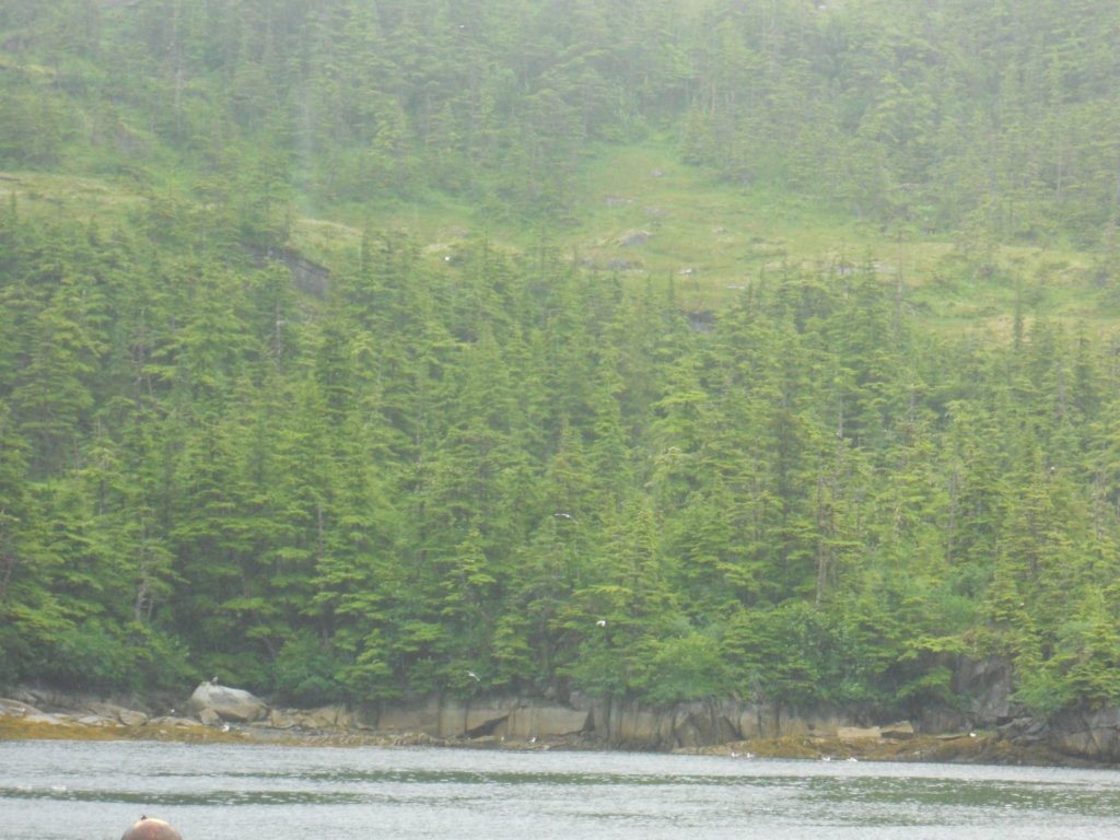 dscn1293.jpg