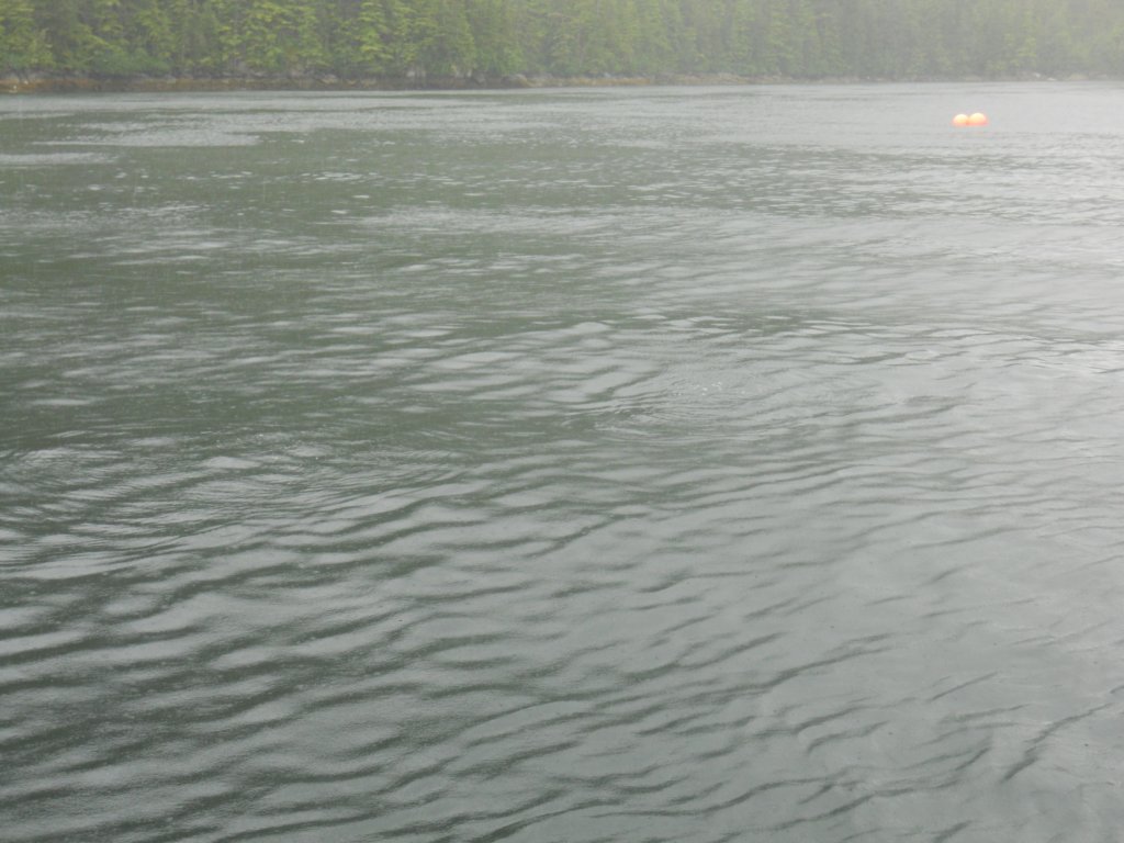 dscn1295.jpg