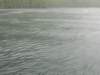dscn1295_small.jpg