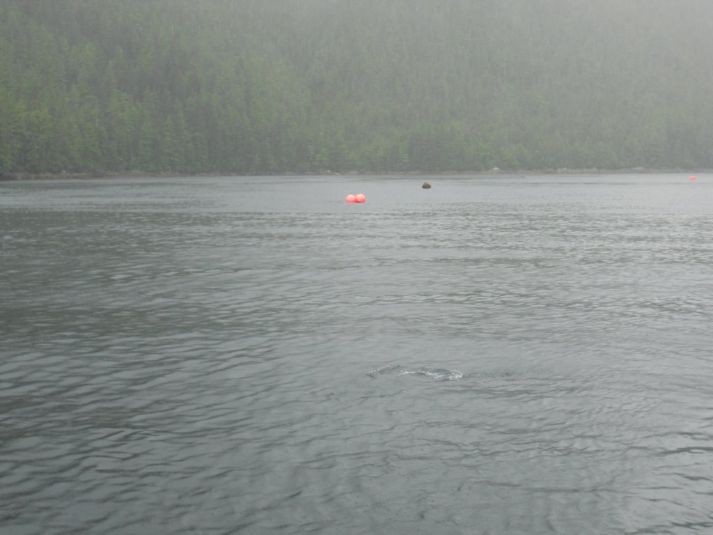 dscn1296.jpg