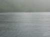 dscn1296_small.jpg