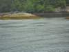 dscn1297_small.jpg