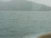 dscn1302_small.jpg