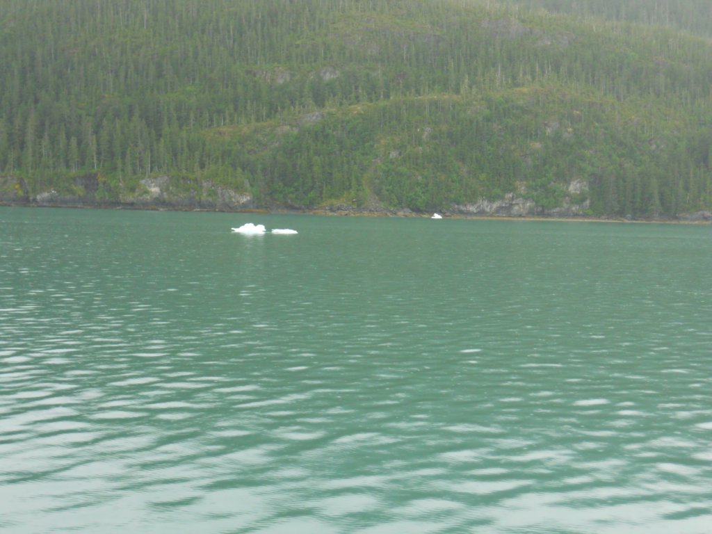 dscn1307.jpg