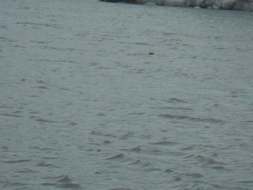 dscn1346.jpg