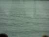 dscn1350_small.jpg