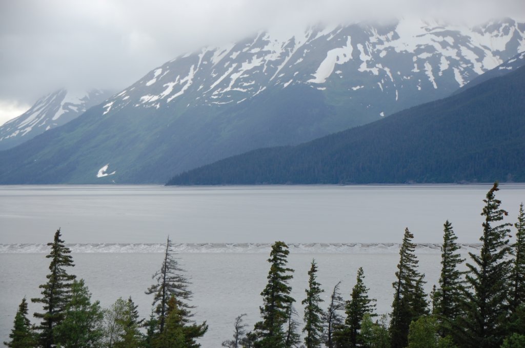 dsc_1056.jpg