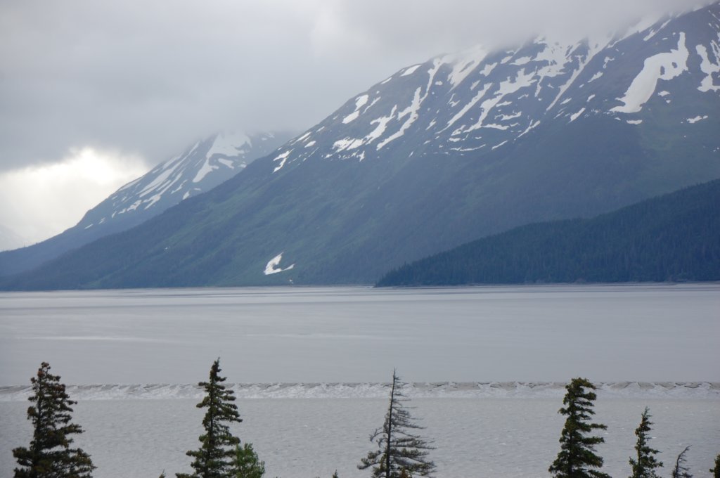 dsc_1058.jpg