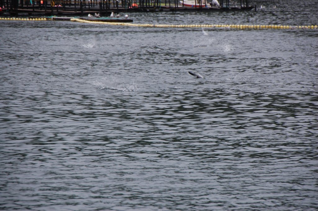 dsc_1104.jpg
