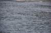 dsc_1107_small.jpg