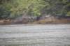 dsc_1115_small.jpg