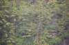 dsc_1117_small.jpg