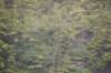 dsc_1118_small.jpg