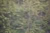 dsc_1121_small.jpg