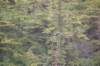 dsc_1126_small.jpg