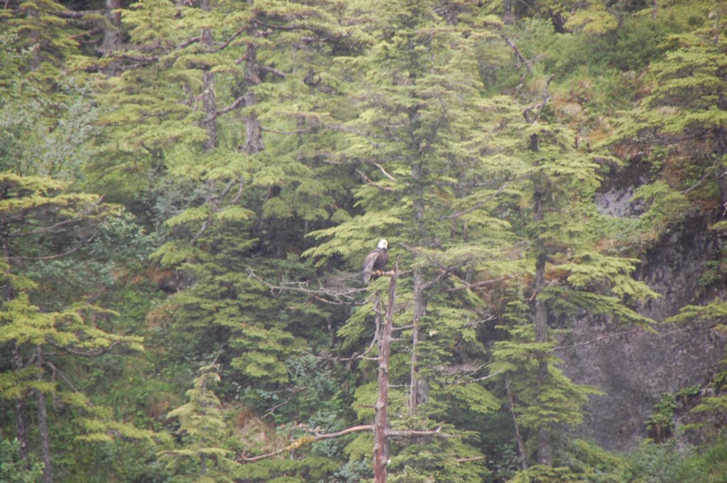 dsc_1128.jpg