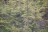 dsc_1128_small.jpg