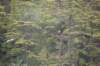 dsc_1129_small.jpg