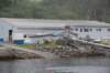 dsc_1138_small.jpg