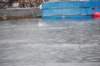 dsc_1140_small.jpg