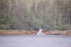 dsc_1154_small.jpg