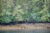 dsc_1156_small.jpg