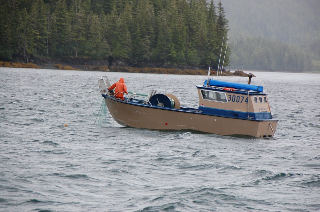 dsc_1158.jpg