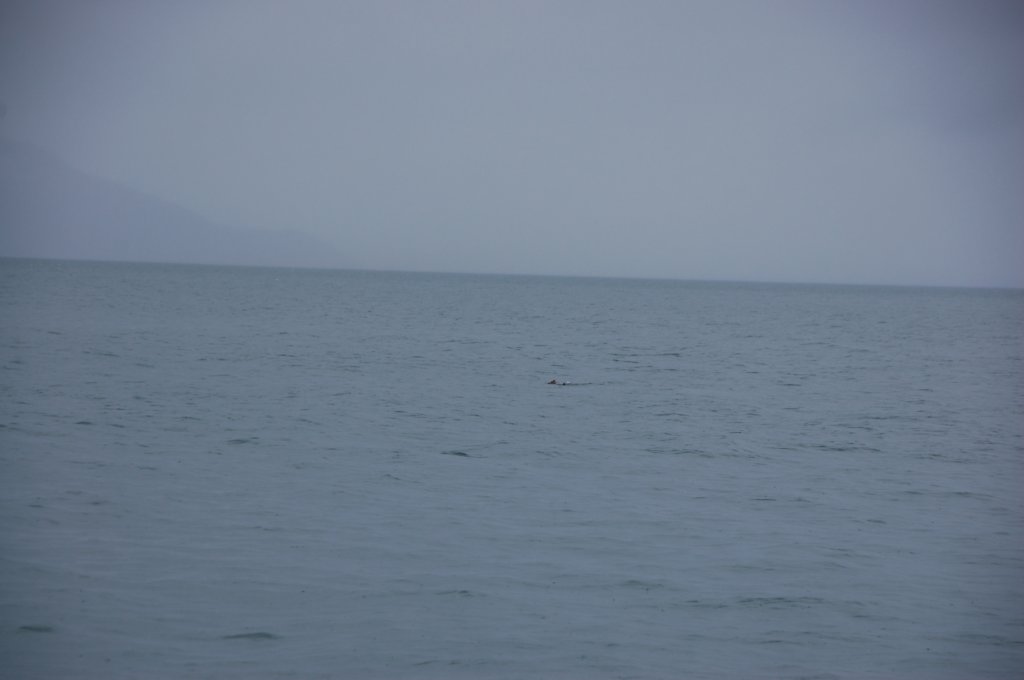 dsc_1161.jpg