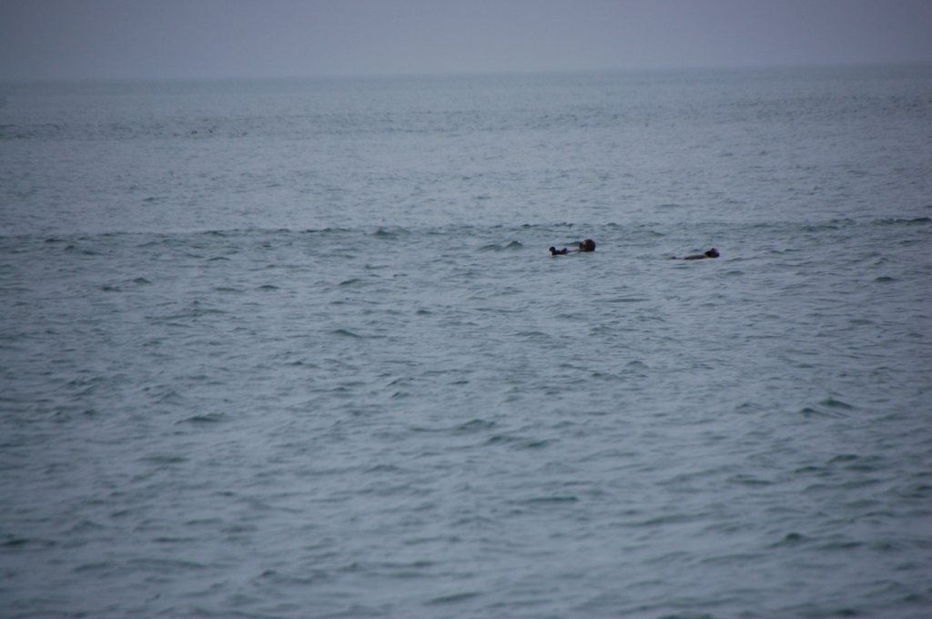dsc_1166.jpg