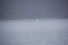 dsc_1169_small.jpg