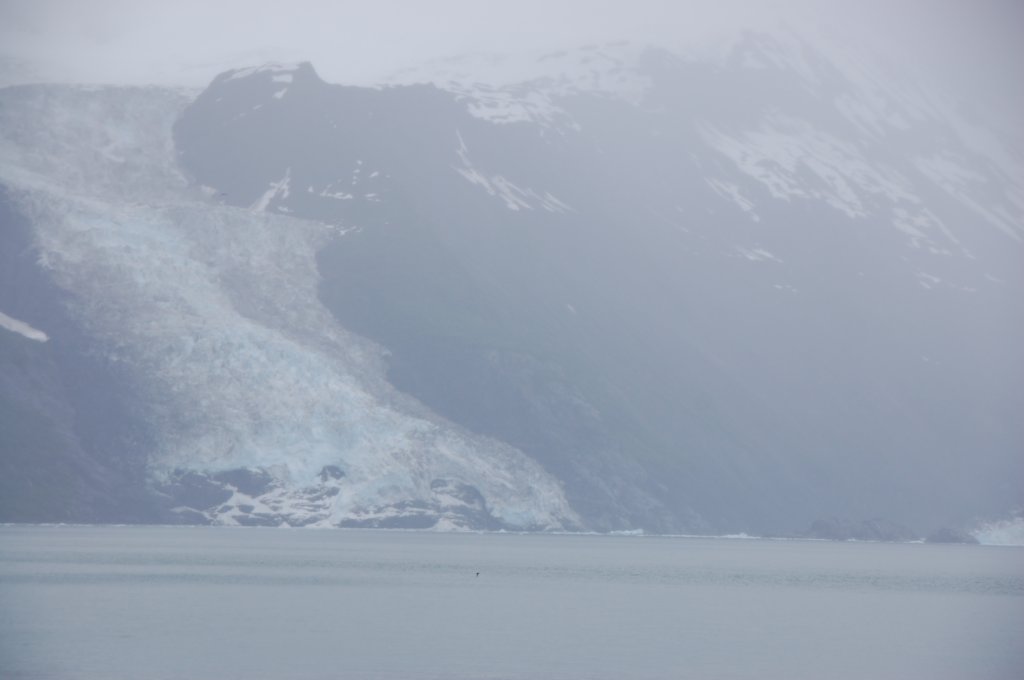 dsc_1176.jpg