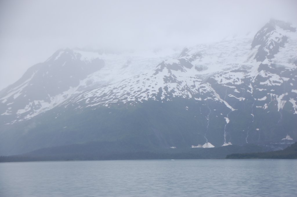 dsc_1197.jpg