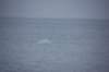dsc_1205_small.jpg