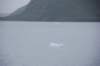 dsc_1206_small.jpg