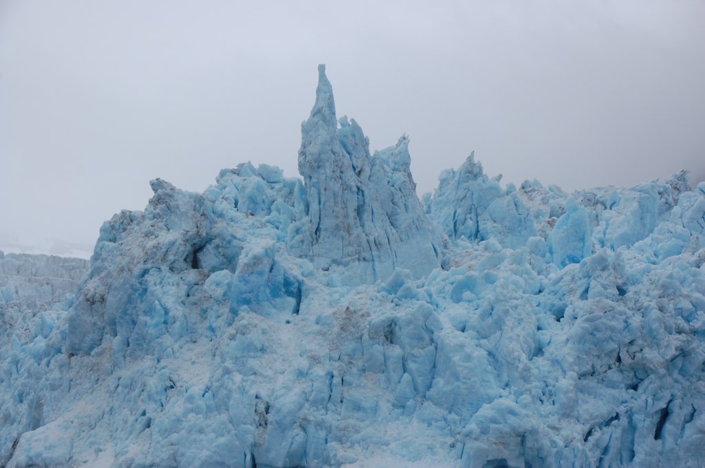 dsc_1236.jpg