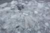 dsc_1247_small.jpg