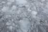 dsc_1248_small.jpg