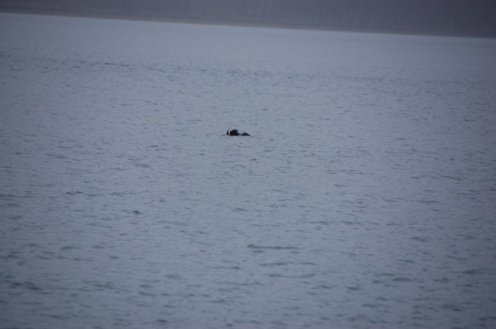 dsc_1270.jpg