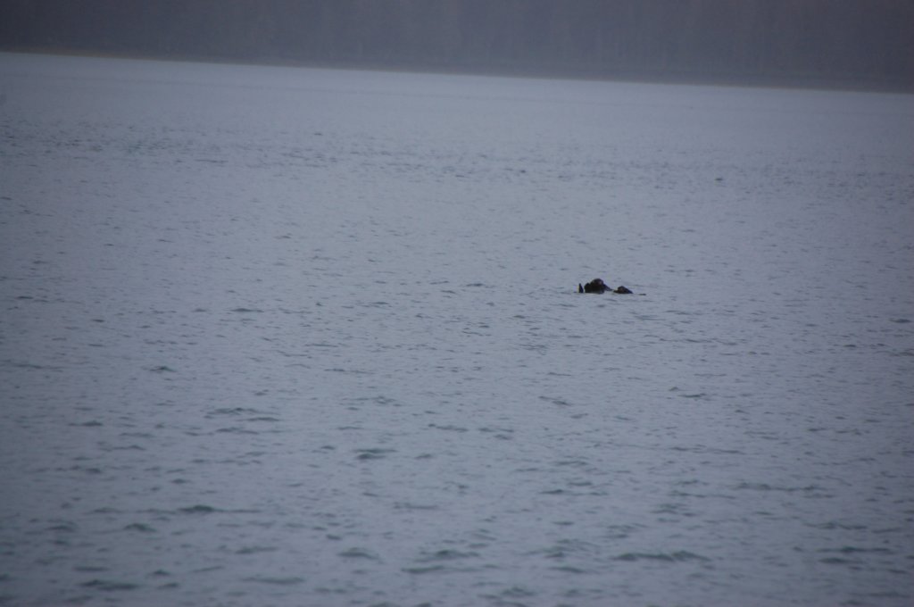 dsc_1273.jpg