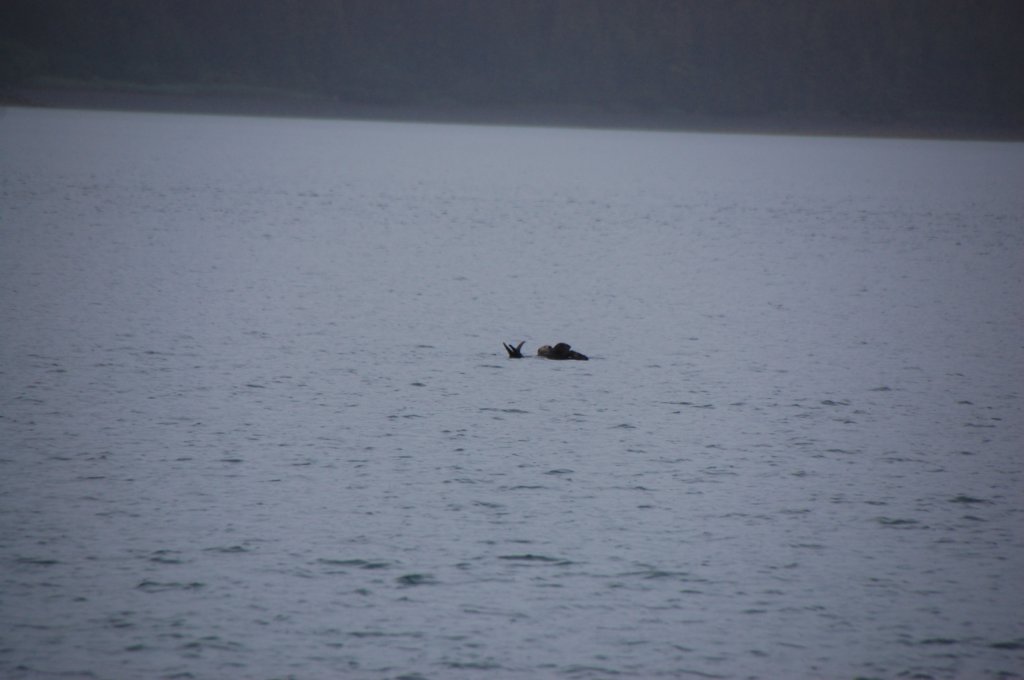dsc_1275.jpg