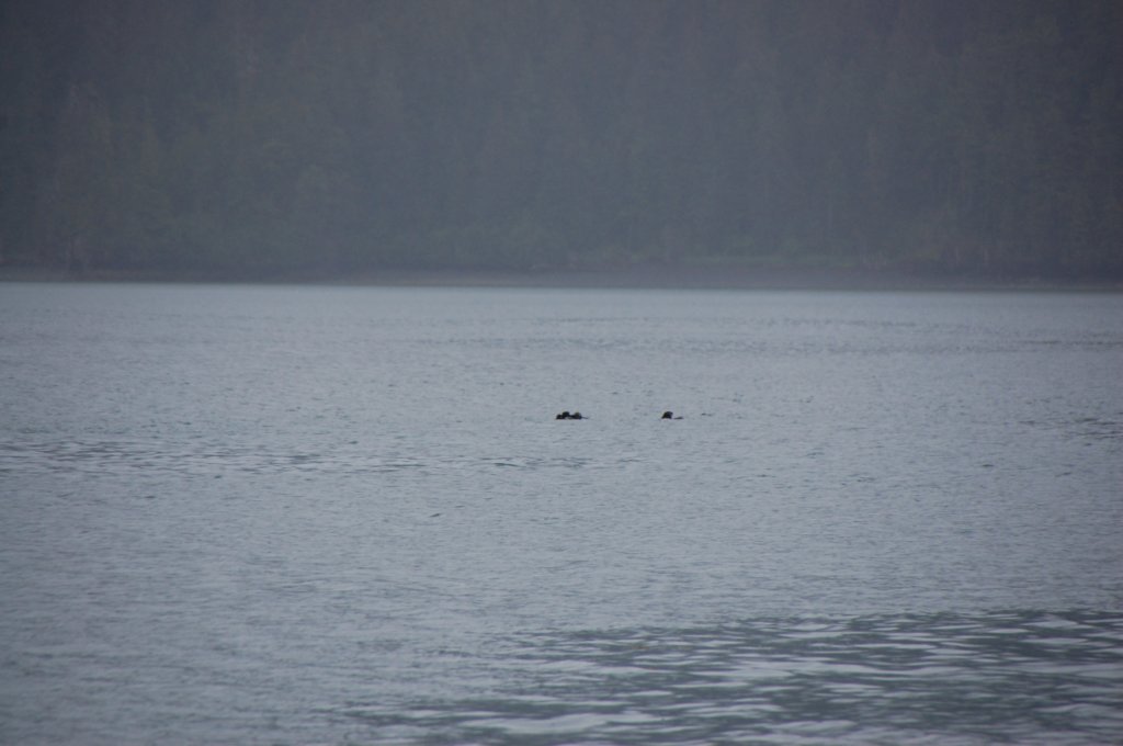dsc_1279.jpg