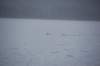 dsc_1281_small.jpg