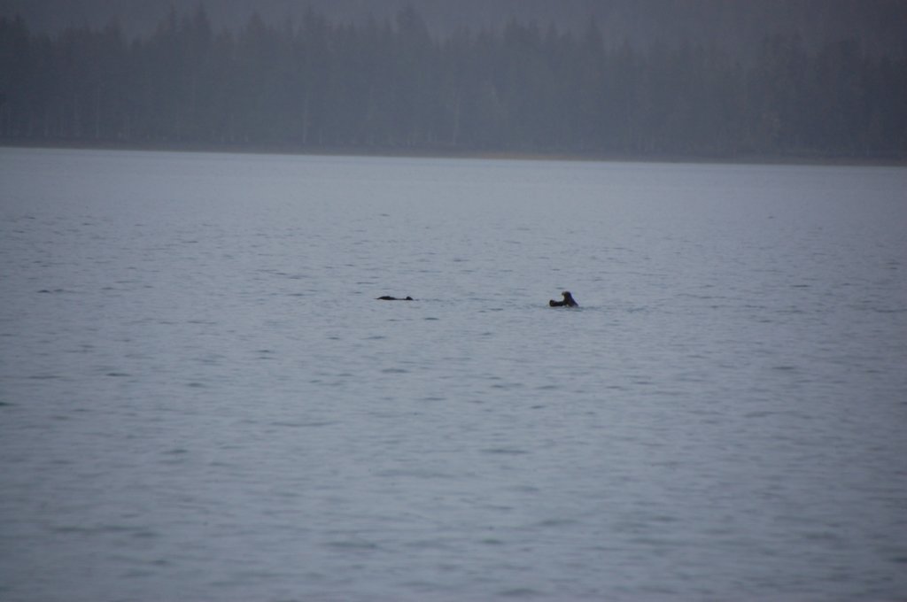 dsc_1283.jpg