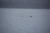 dsc_1283_small.jpg