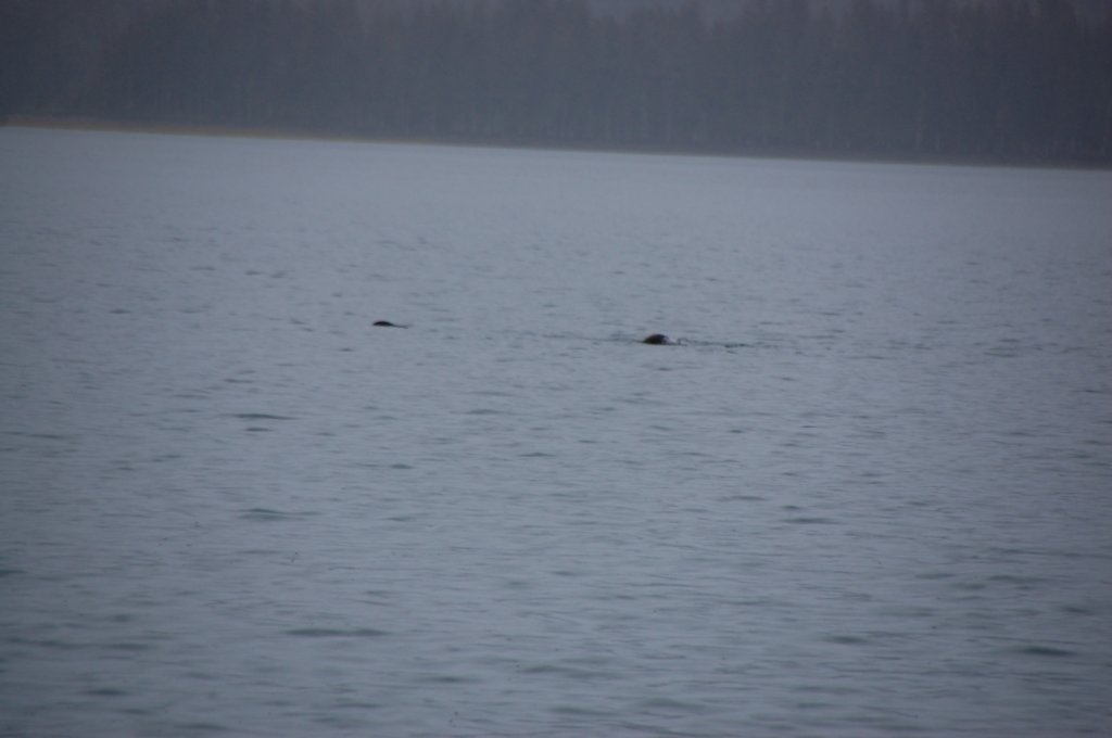 dsc_1284.jpg