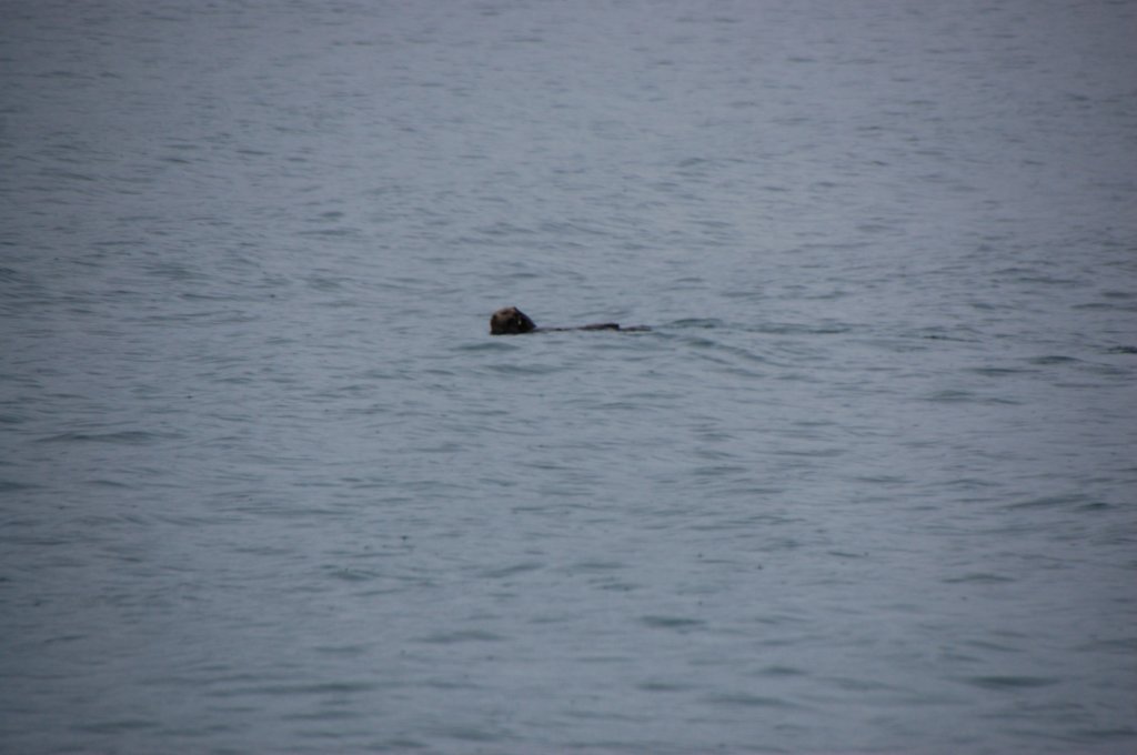 dsc_1296.jpg