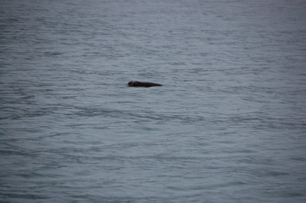 dsc_1305.jpg