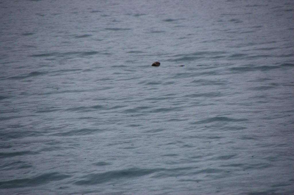 dsc_1314.jpg